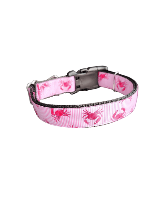 Red Crabs Nylon Dog Collar - Paws & Play Paradise