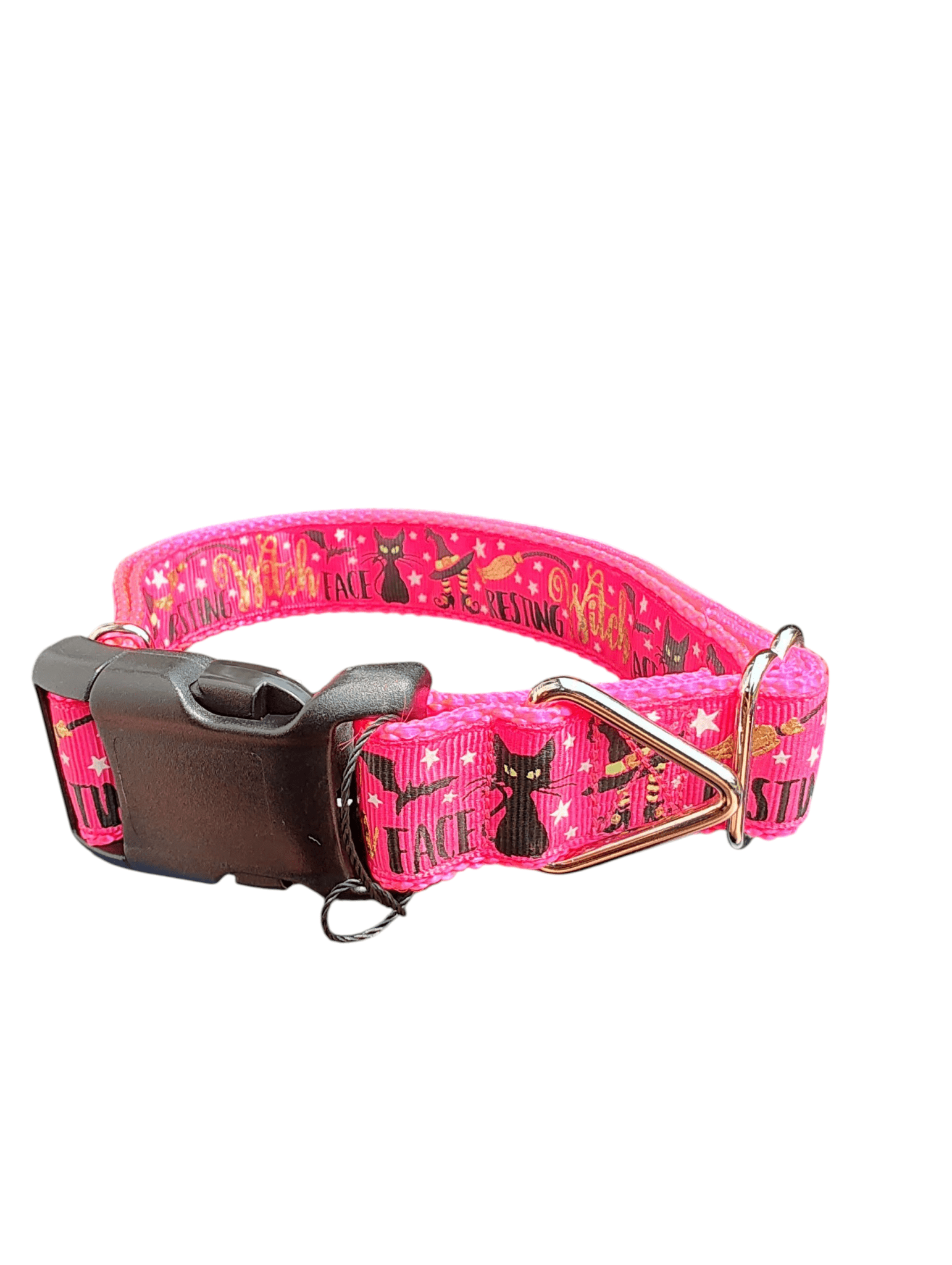 Resting Witch Face Nylon Dog Collar - Paws & Play Paradise
