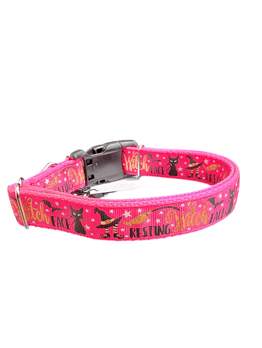Resting Witch Face Nylon Dog Collar - Paws & Play Paradise