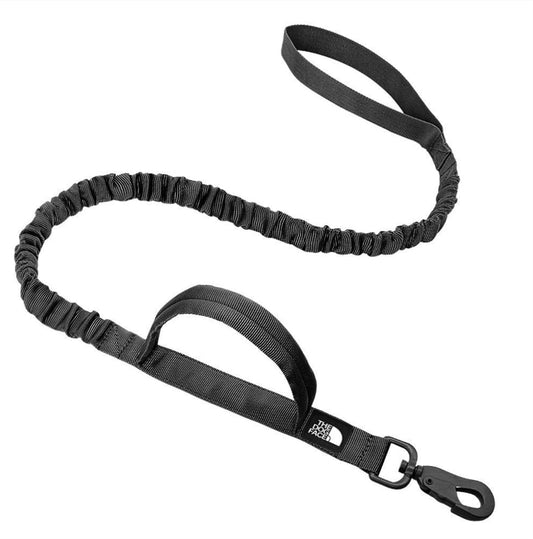Rover Tactical Leash - Paws & Play Paradise