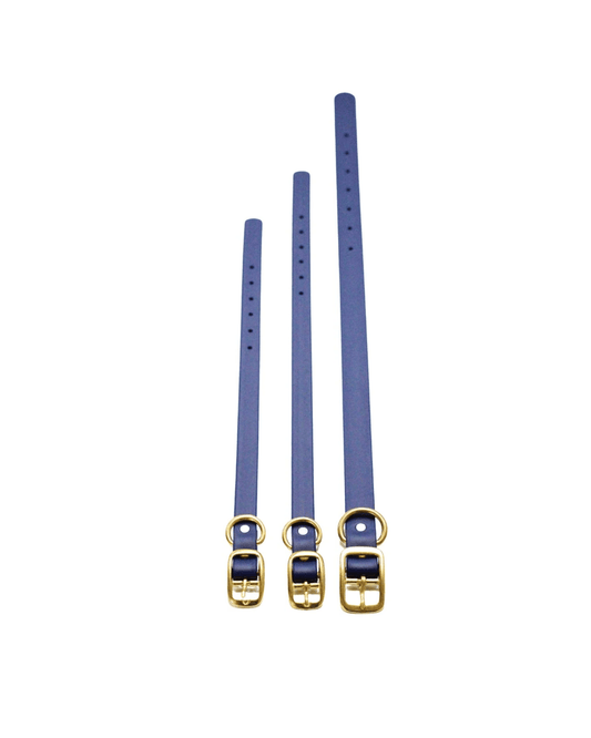 Royal Blue Waterproof Biothane Collar - Paws & Play Paradise