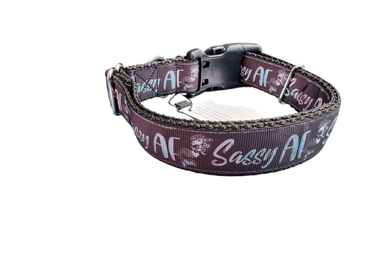 Sassy AF Nylon Dog Collar - Paws & Play Paradise