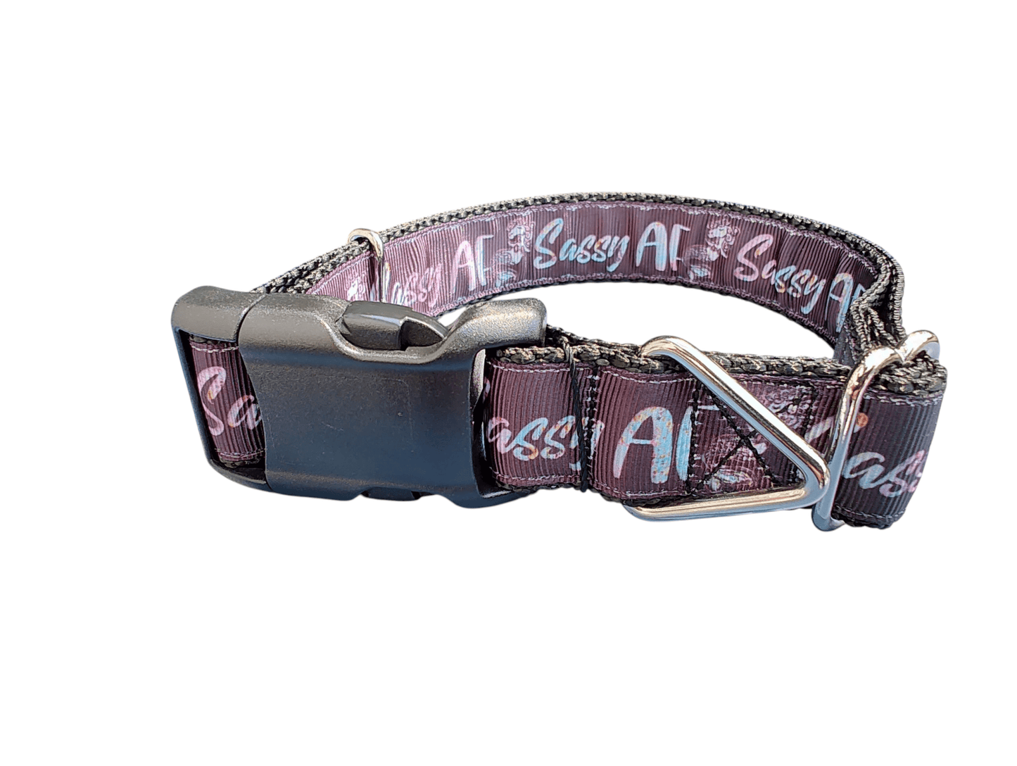 Sassy AF Nylon Dog Collar - Paws & Play Paradise