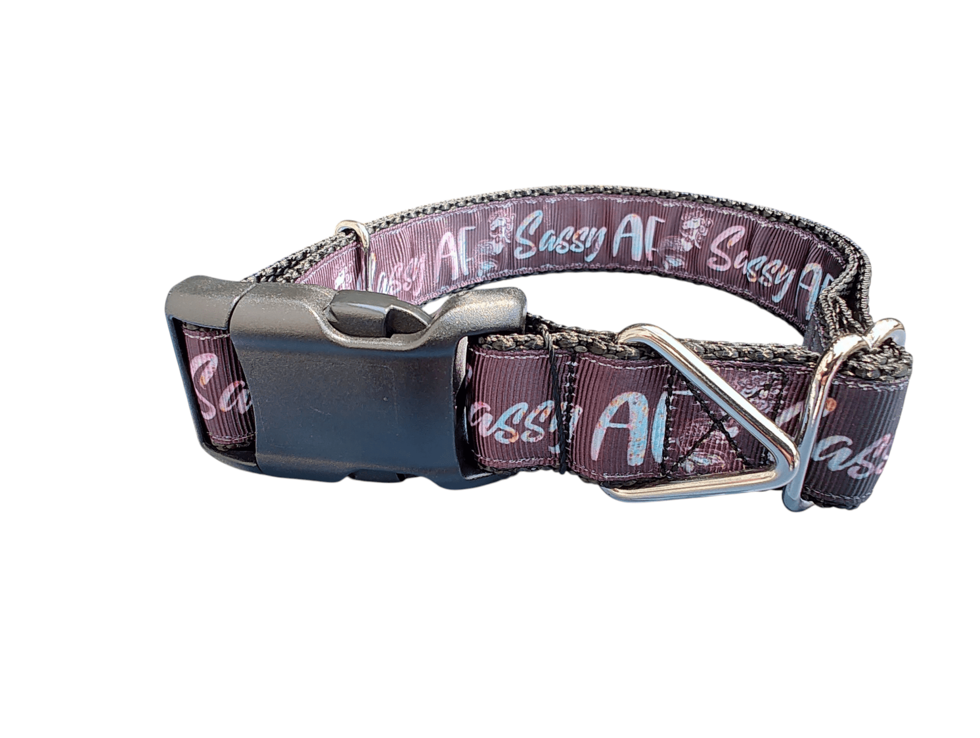 Sassy AF Nylon Dog Collar - Paws & Play Paradise