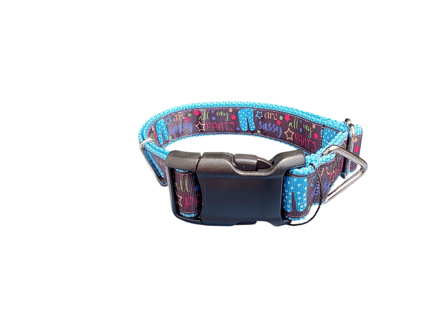 Sassy Pants Nylon Dog Collar - Paws & Play Paradise