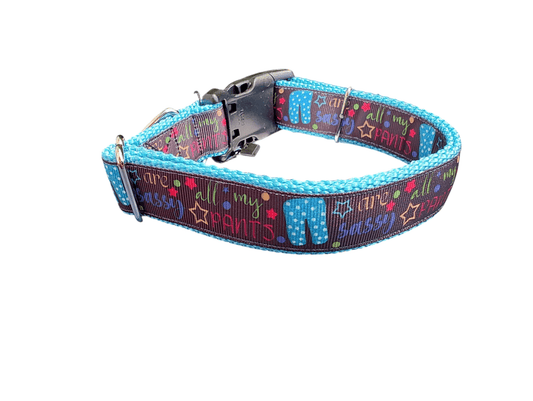 Sassy Pants Nylon Dog Collar - Paws & Play Paradise
