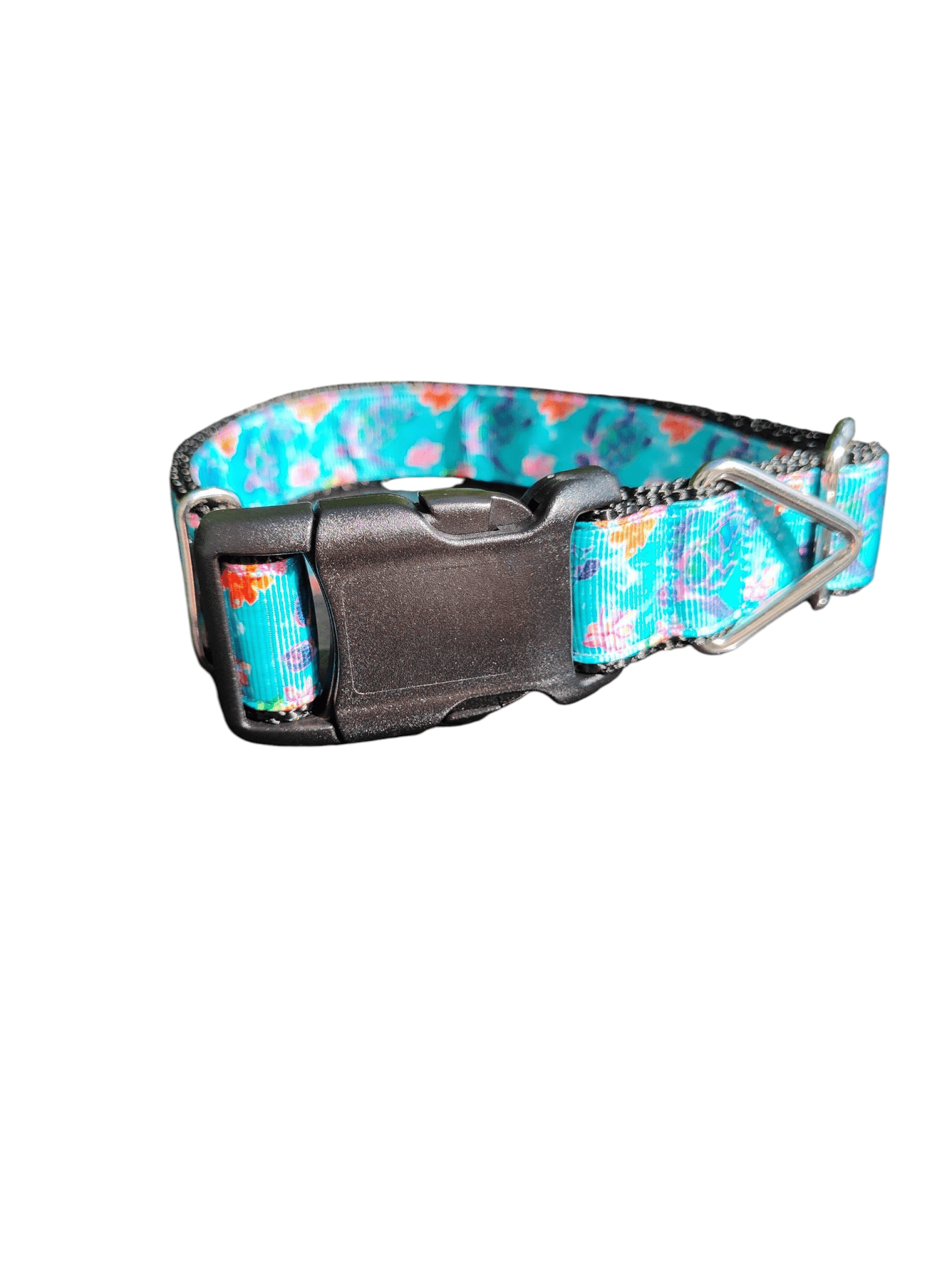 Sea Turtles Nylon Dog Collar - Paws & Play Paradise