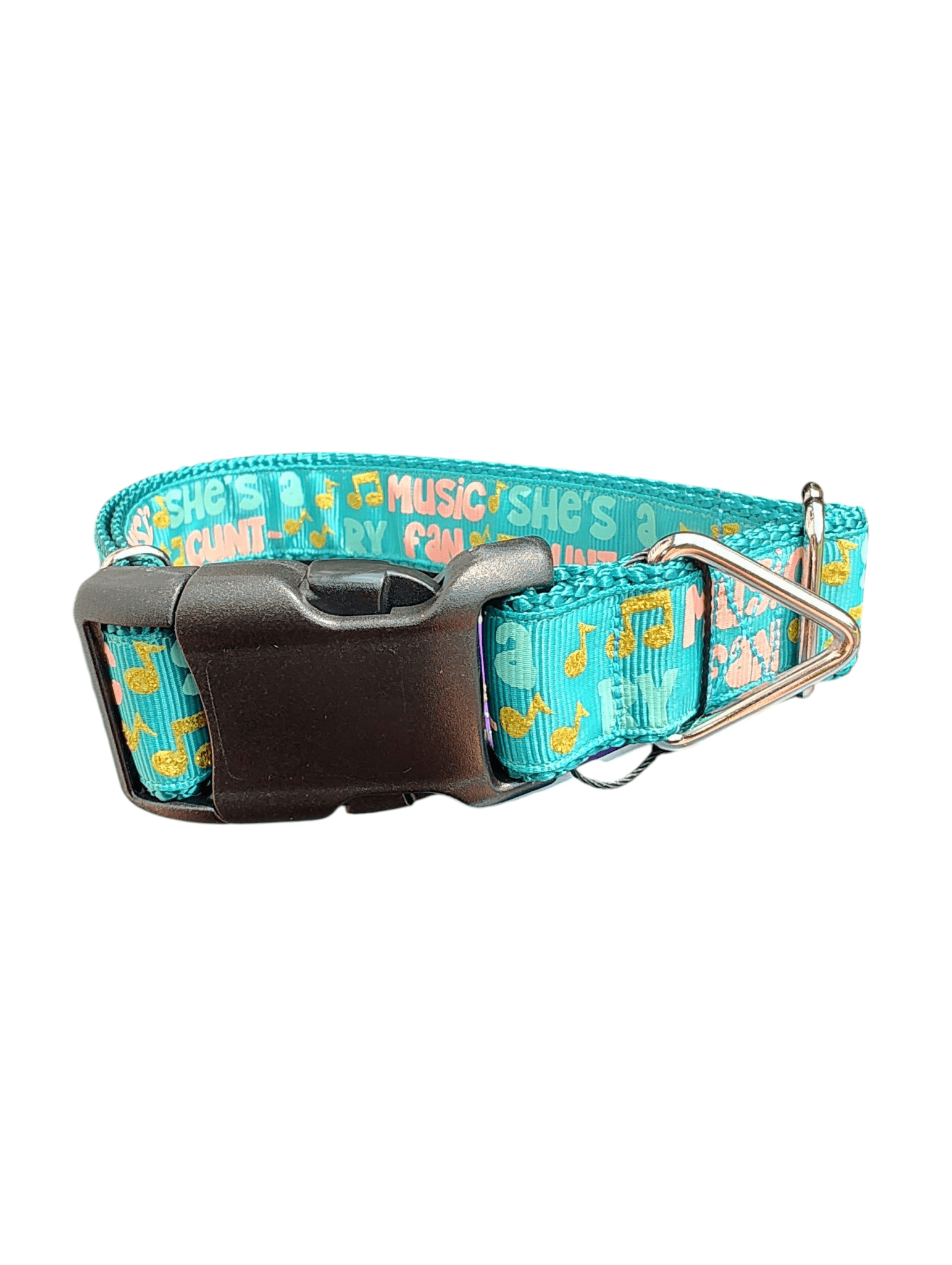 She's a Cunt - ry Music Fan Nylon Dog Collar - Paws & Play Paradise