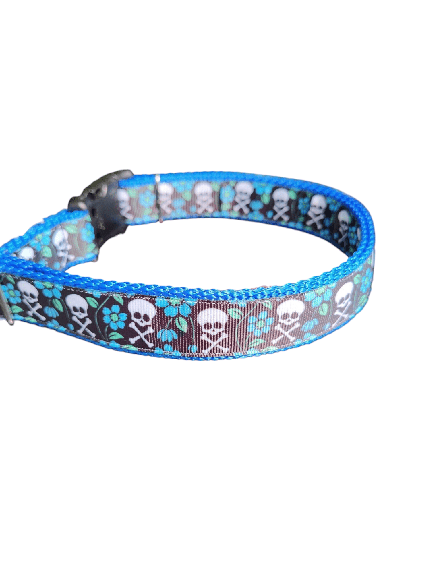 Skull and Crossbones Blue Flowers Nylon Dog Collar - Paws & Play Paradise