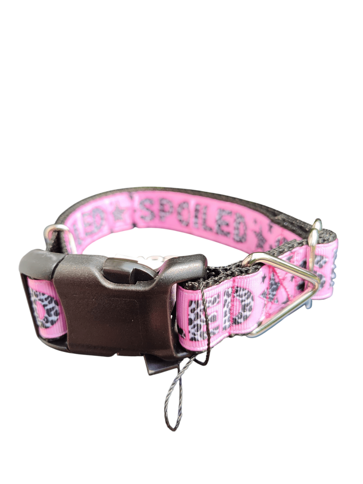 Spoiled Nylon Dog Collar - Paws & Play Paradise