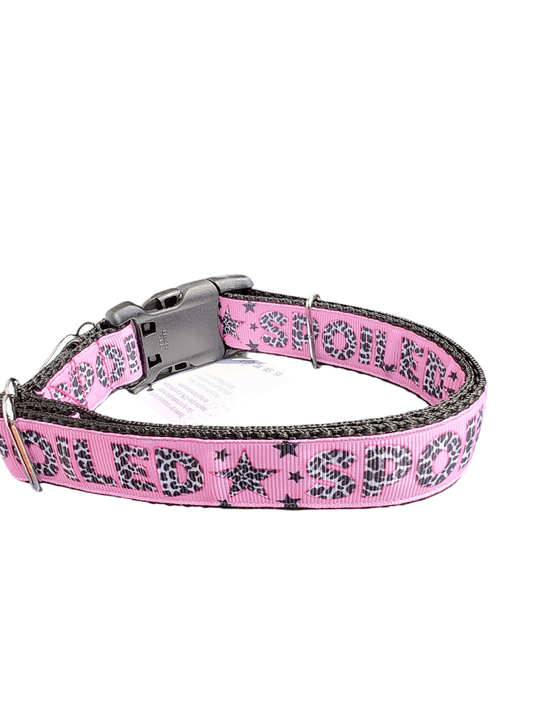 Spoiled Nylon Dog Collar - Paws & Play Paradise