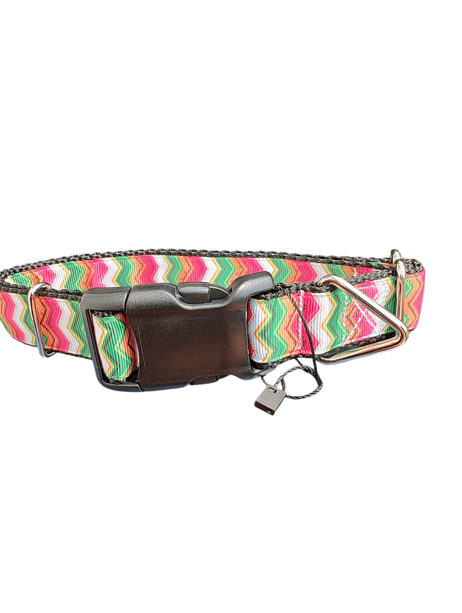 Summer Zig Zags Nylon Dog Collar - Paws & Play Paradise