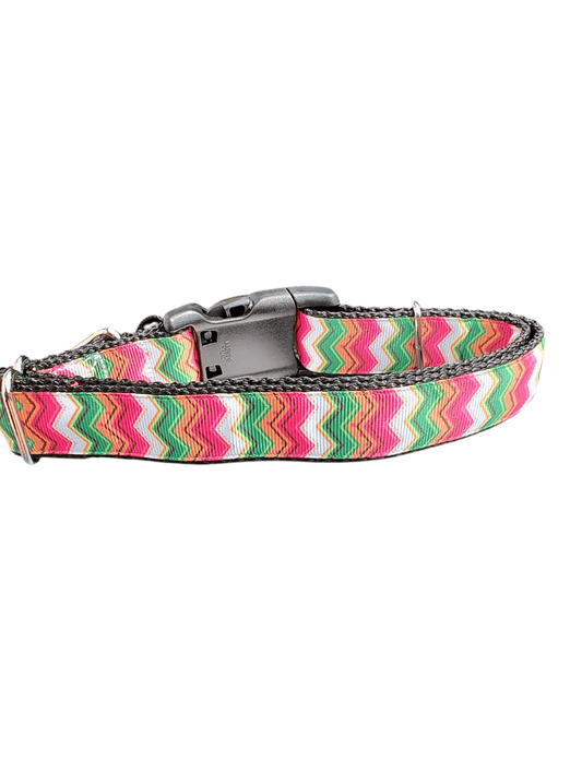 Summer Zig Zags Nylon Dog Collar - Paws & Play Paradise