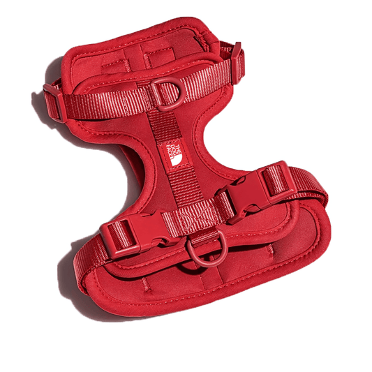 Summit Series Harness - Paws & Play Paradise