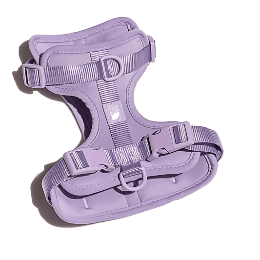 Summit Series Harness - Paws & Play Paradise