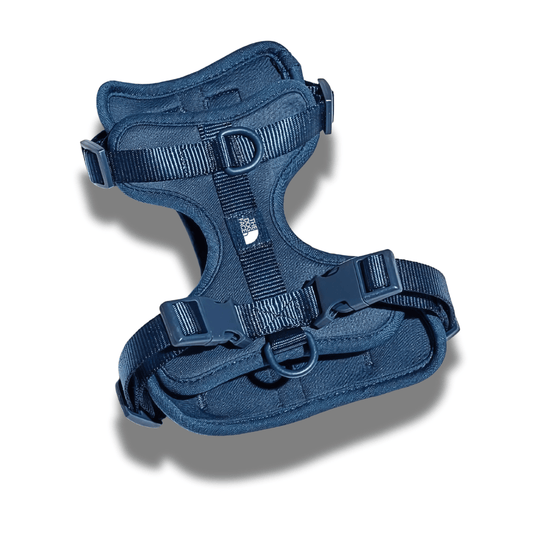 Summit Series Harness - Paws & Play Paradise