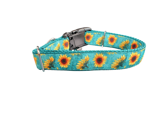 Sunflower Heads Nylon Dog Collar - Paws & Play Paradise