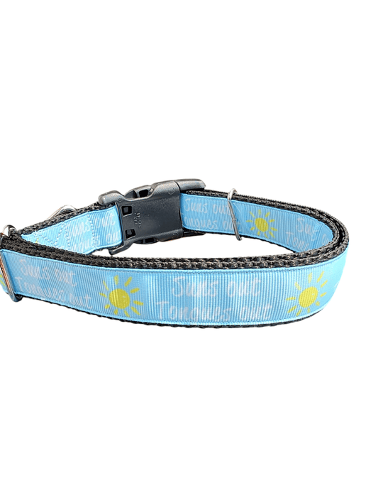 Suns Out Tongues Out Blue Nylon Dog Collar - Paws & Play Paradise