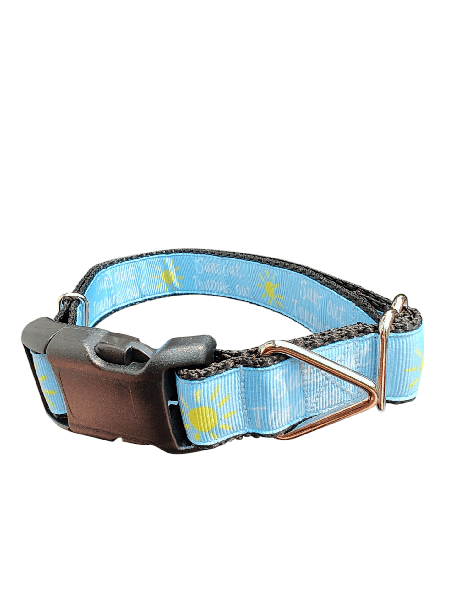 Suns Out Tongues Out Blue Nylon Dog Collar - Paws & Play Paradise