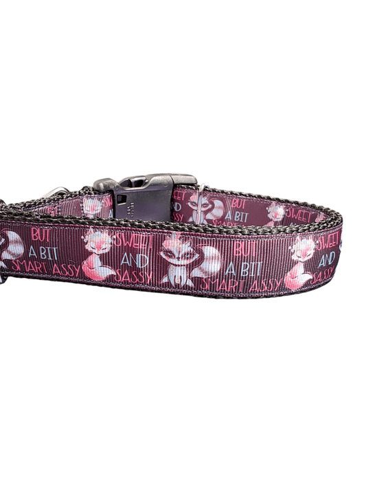 Sweet, Sassy, Smart Assy Nylon Dog Collar - Paws & Play Paradise