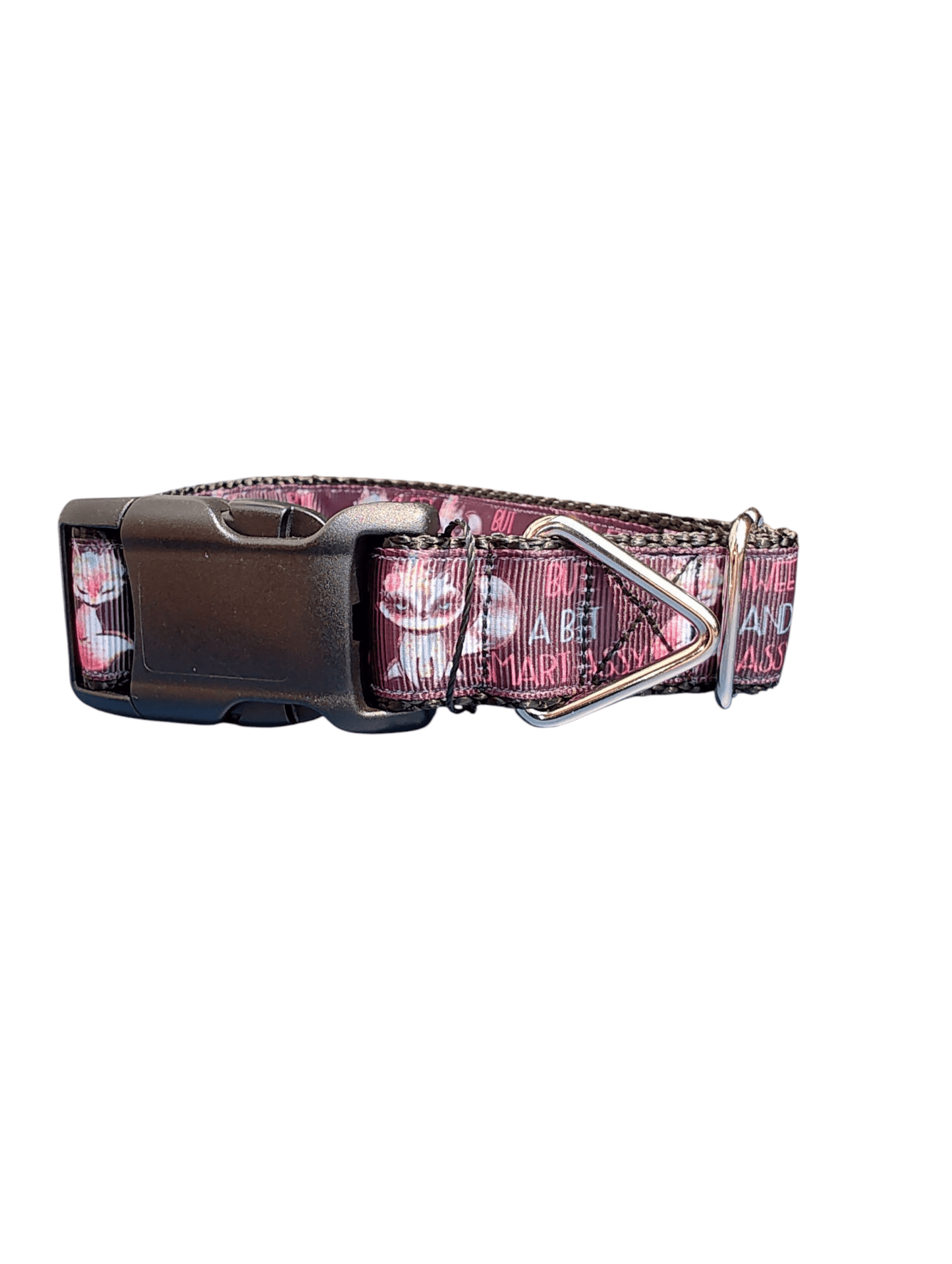 Sweet, Sassy, Smart Assy Nylon Dog Collar - Paws & Play Paradise