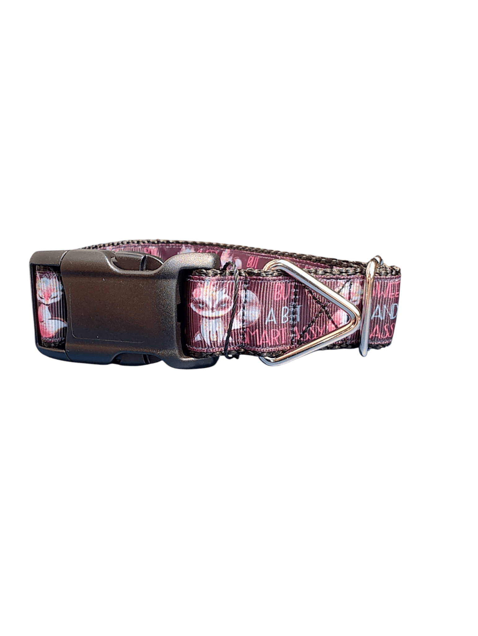Sweet, Sassy, Smart Assy Nylon Dog Collar - Paws & Play Paradise
