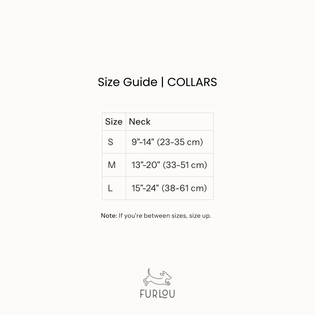 'Tan' - Canvas Dog Collar - Paws & Play Paradise