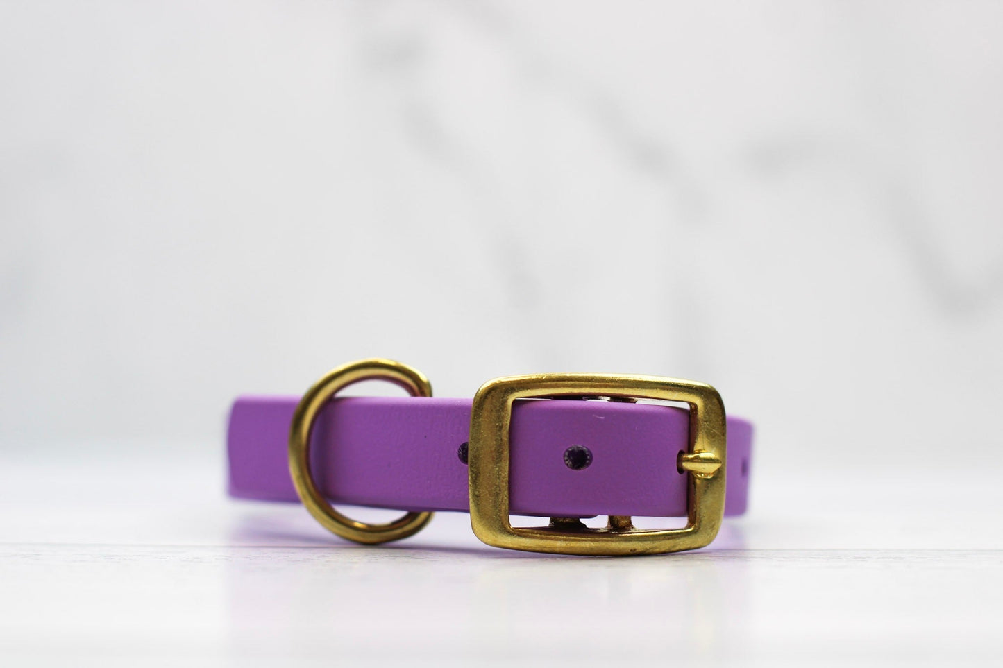 Taro Tango Biothane Collar - Paws & Play Paradise