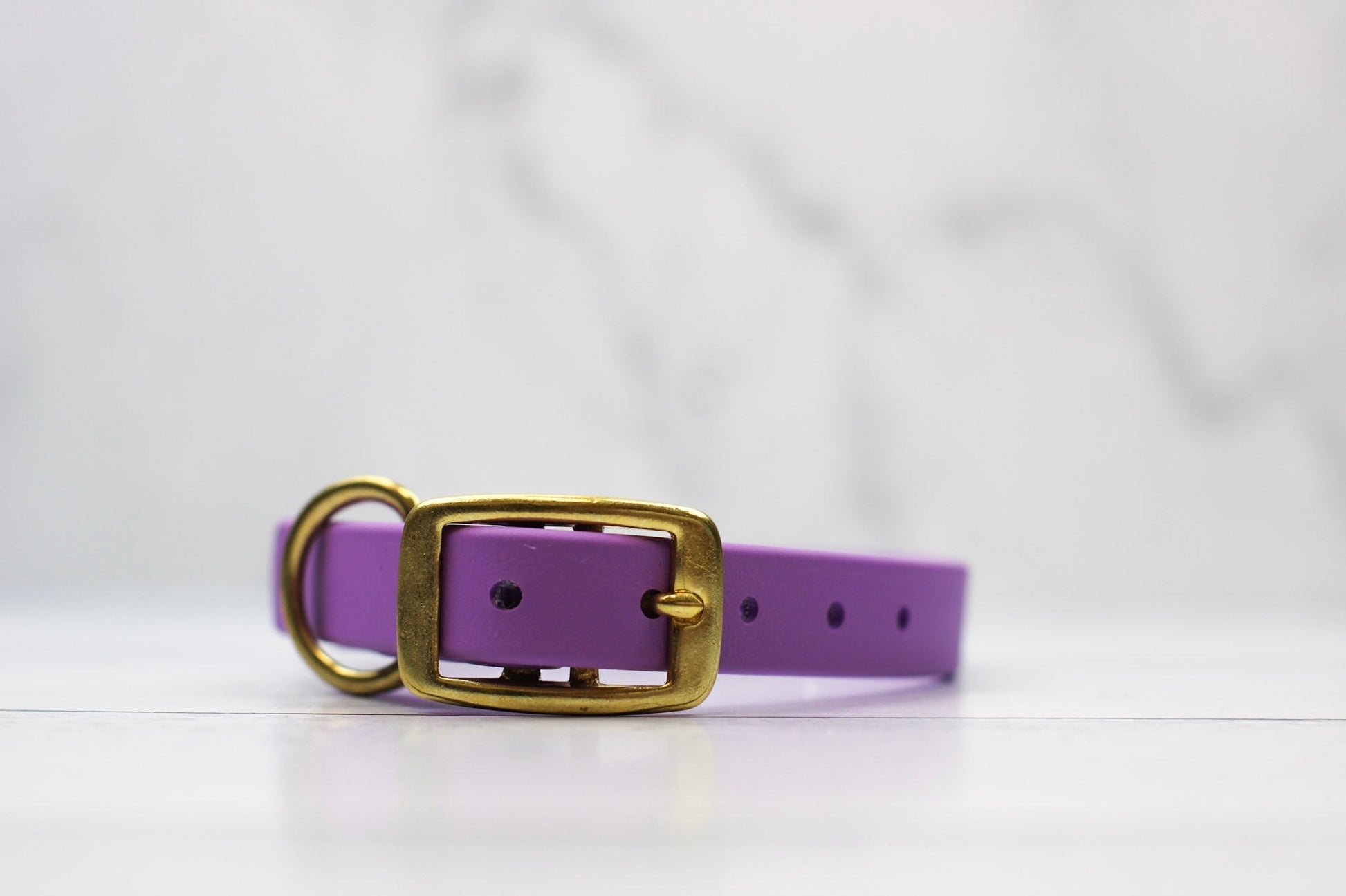 Taro Tango Biothane Collar - Paws & Play Paradise