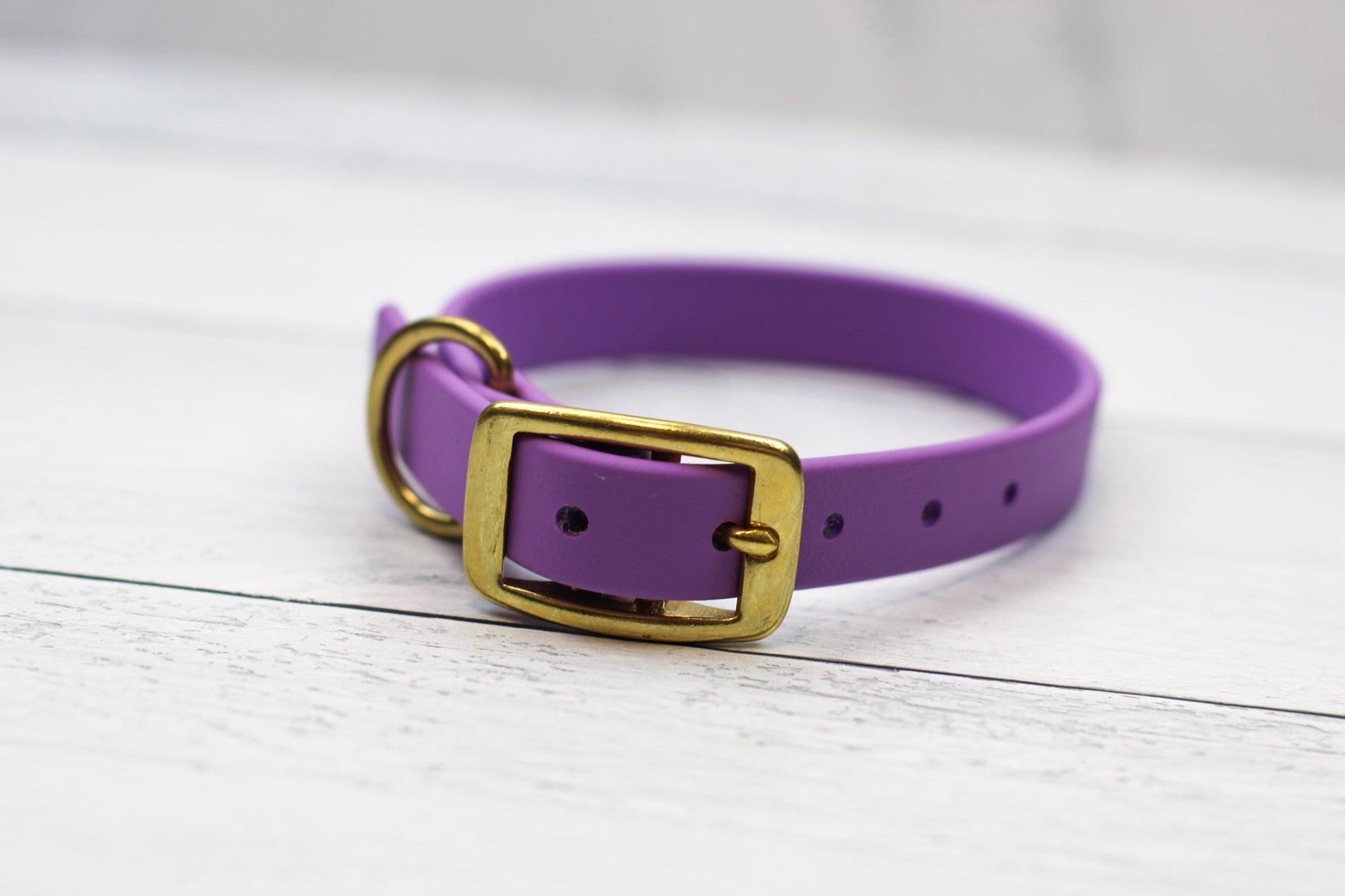 Taro Tango Biothane Collar - Paws & Play Paradise