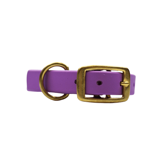 Taro Tango Biothane Collar - Paws & Play Paradise
