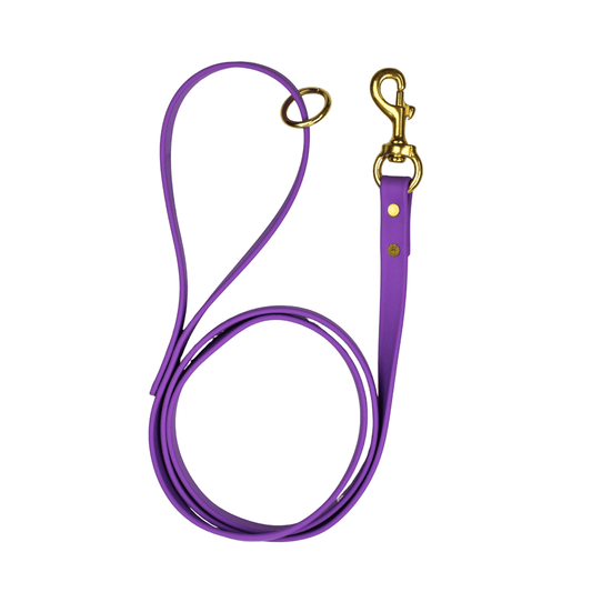 Taro Tango Biothane Leash - Paws & Play Paradise