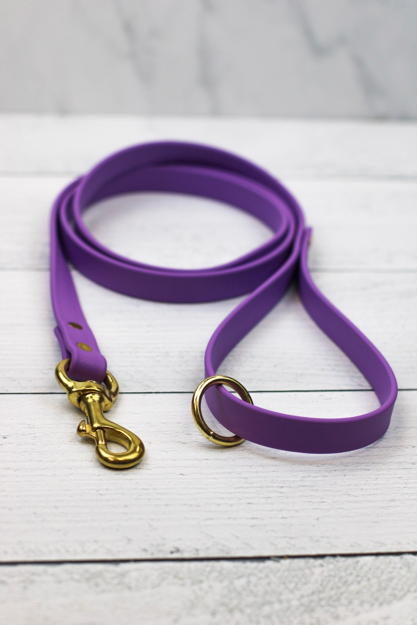 Taro Tango Biothane Leash - Paws & Play Paradise