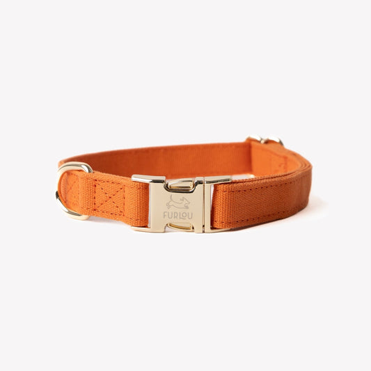 'Terracotta' - Canvas Dog Collar - Paws & Play Paradise