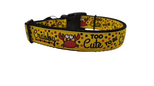 Too Cute To Be Crabby Nylon Dog Collar - Paws & Play Paradise