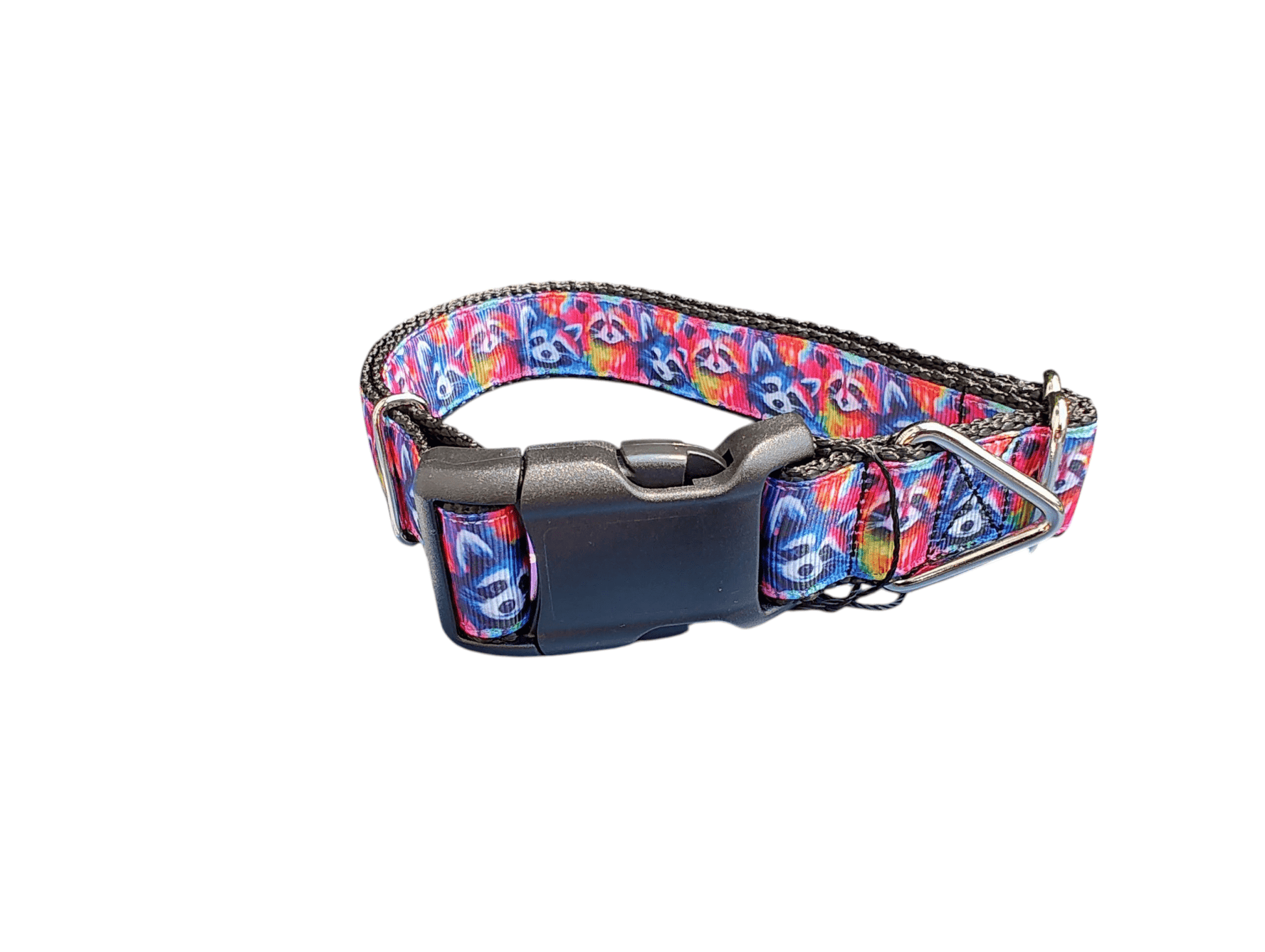 Trash Panda Raccoons Nylon Dog Collar - Paws & Play Paradise