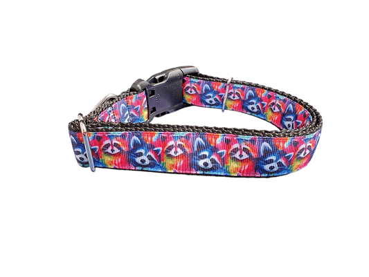 Trash Panda Raccoons Nylon Dog Collar - Paws & Play Paradise