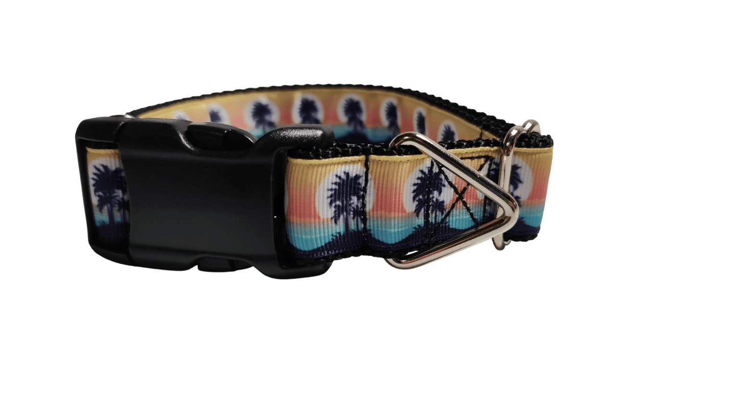 Tropical Sunsets Nylon Dog Collar - Paws & Play Paradise