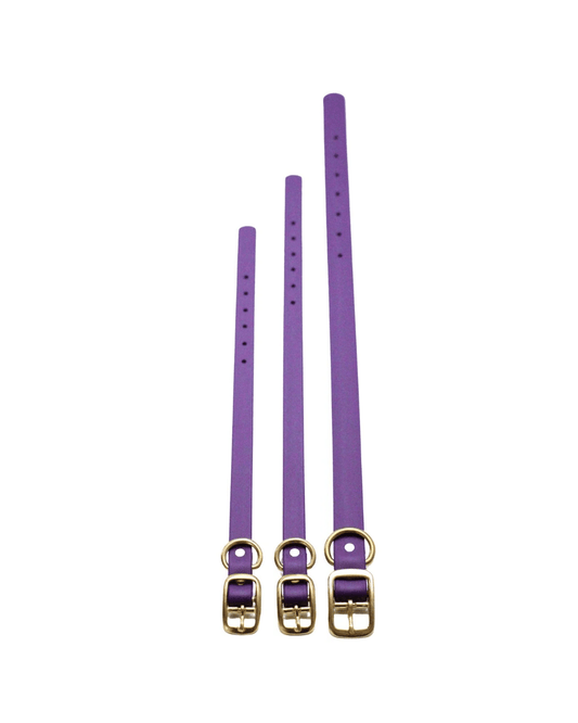 Violet Waterproof Biothane Collar - Paws & Play Paradise