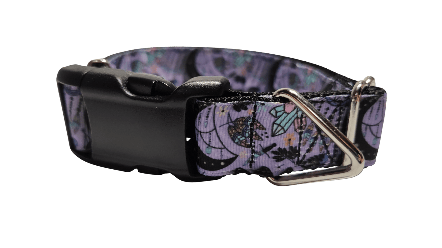 Witchy Crystals Nylon Dog Collar - Paws & Play Paradise