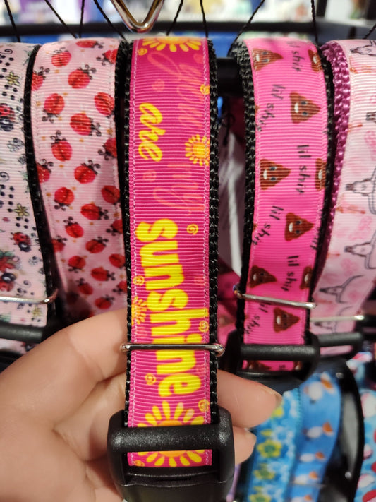 You Are My Sunshine Nylon Dog Collar - Paws & Play Paradise